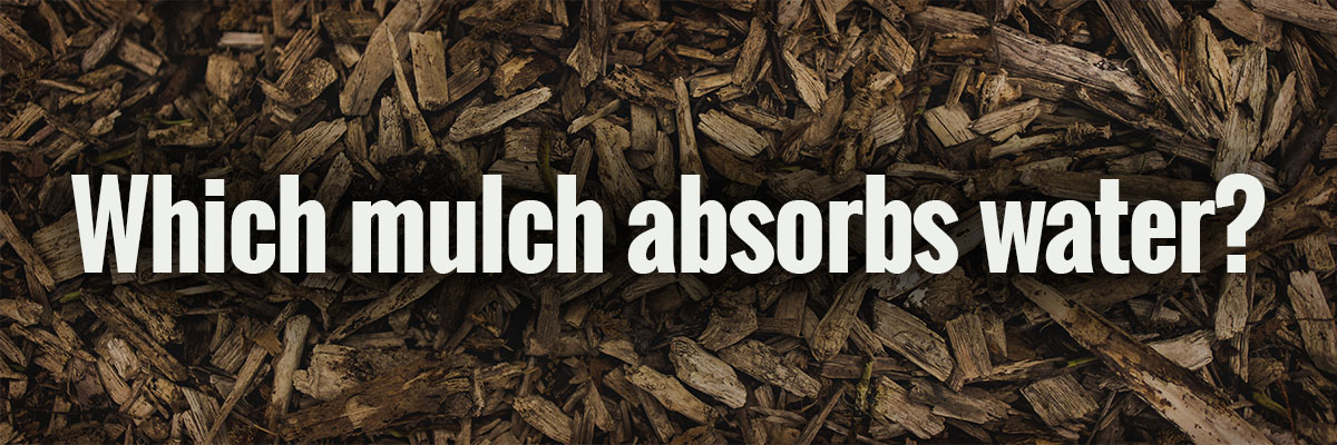 Which mulch absorbs water? Image with a background of bark mulch.