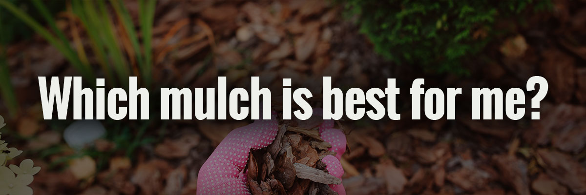 Which mulch is best for me? Image of garden gloved hand spreading bark mulch.