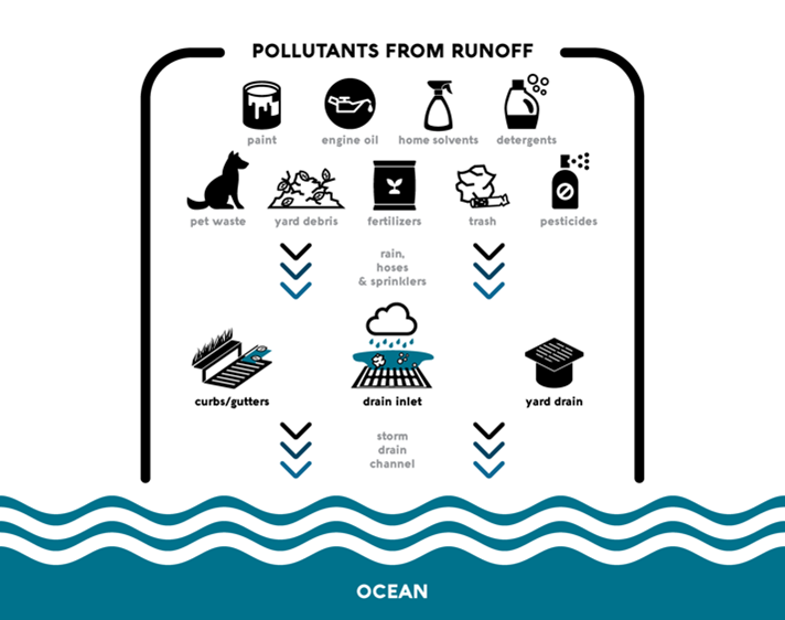 Pollutants from runoff graphic