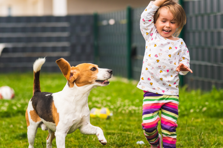Waterway Safe Pet Owner Tips