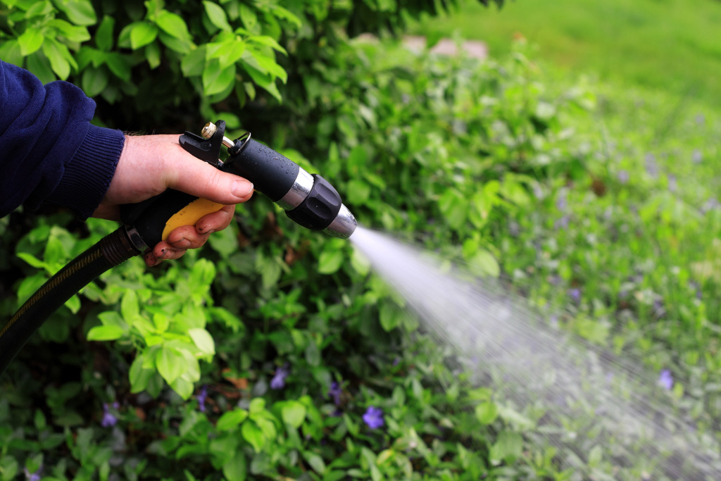 A photo of a person hand watering plants to prevent overwatering