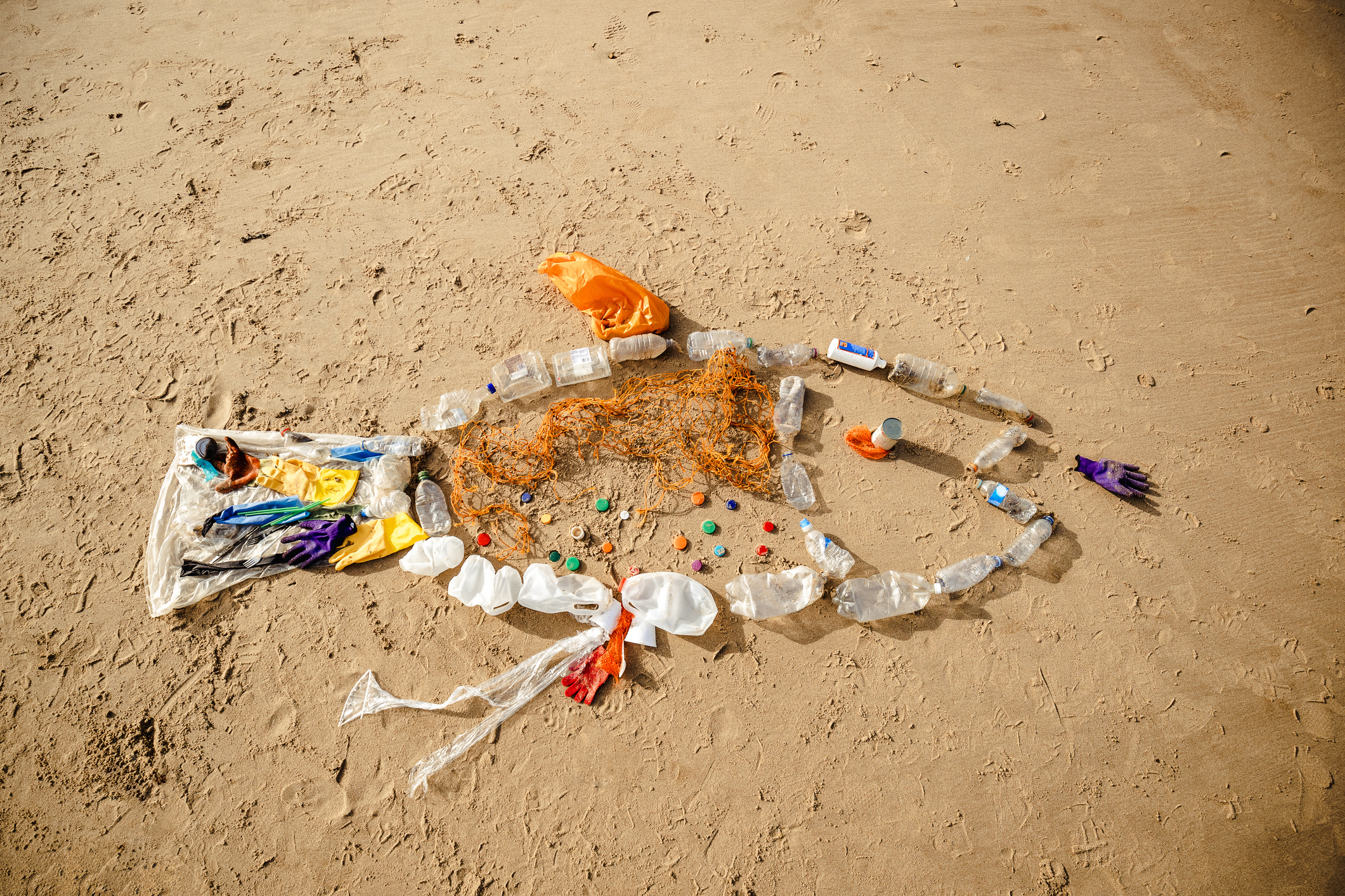Fish Sculpture Made of Materials Washed up by the Sea