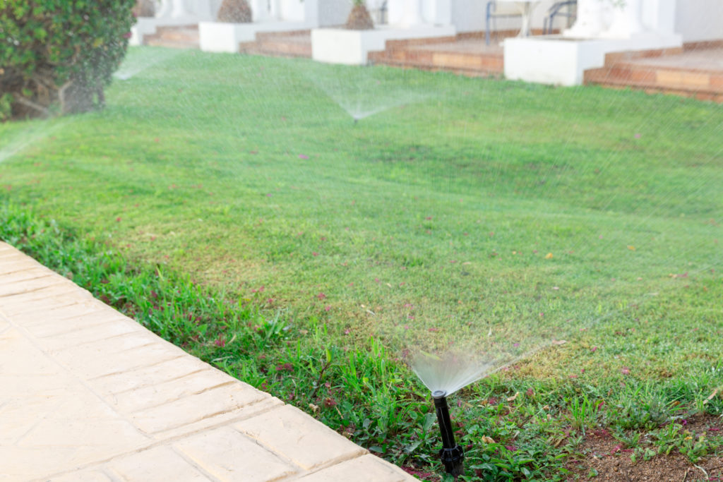 Sprinkler in garden watering the lawn. Automatic watering lawns concept