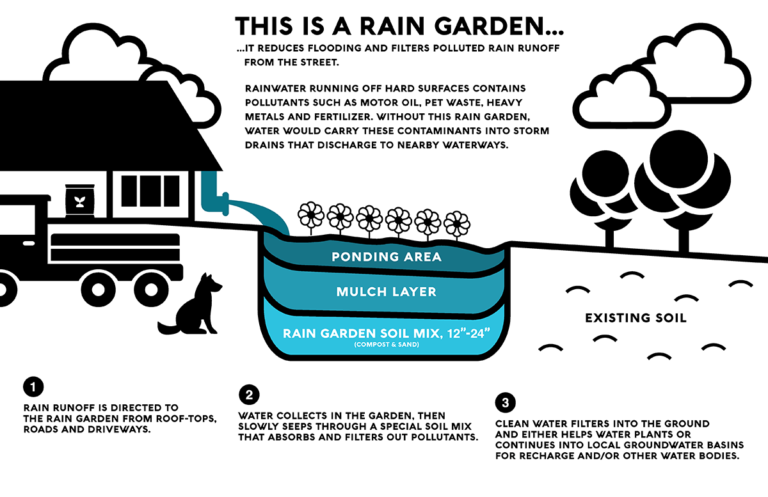 Create A Rain Garden - H2OC Stormwater Program