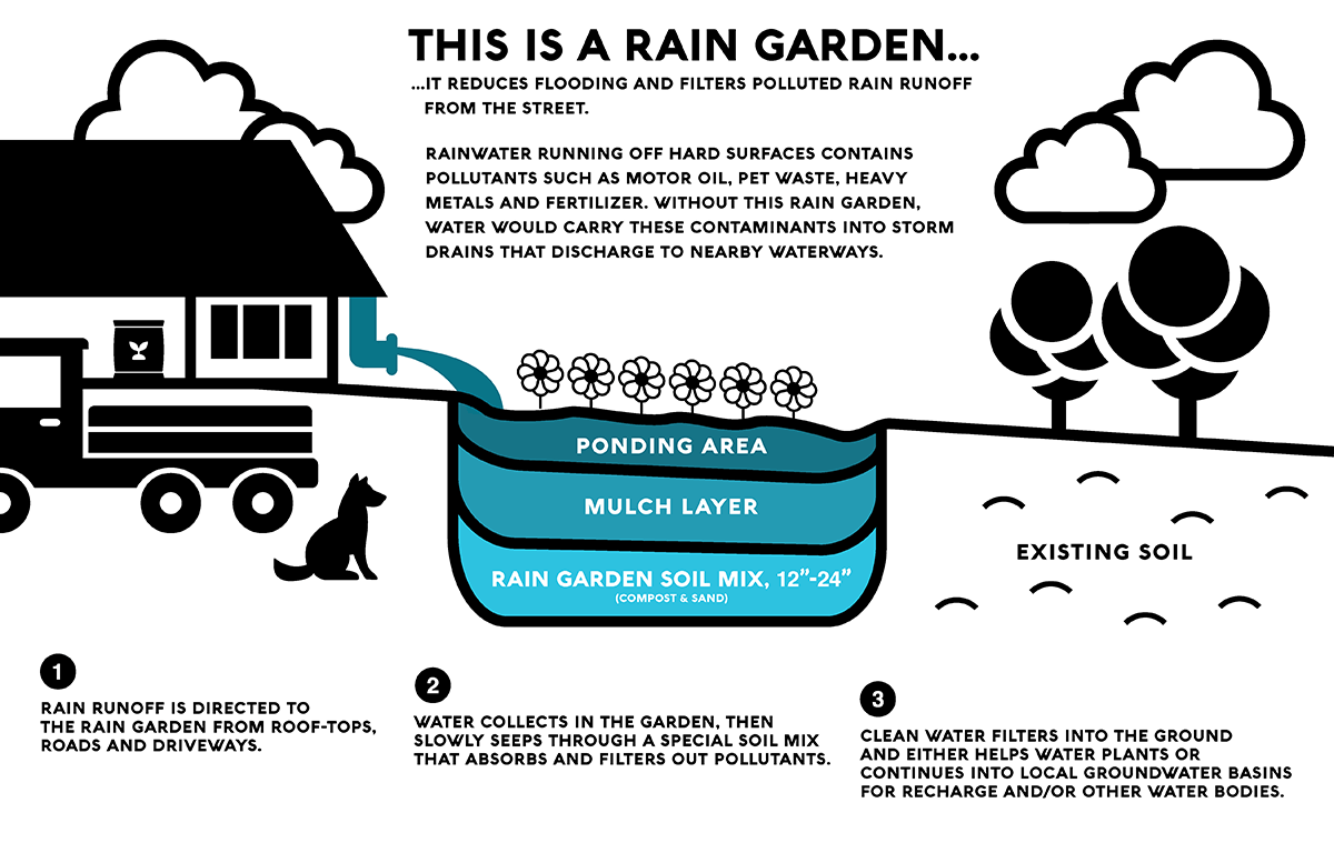This is a Rain Garden