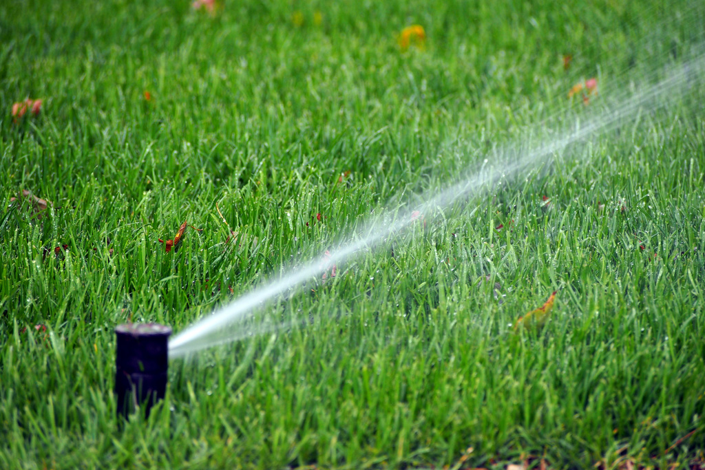 A photo of a sprinkler watering grass